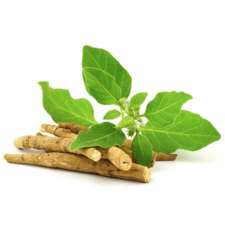 Product: Ashwagandha (Withania somnifera)